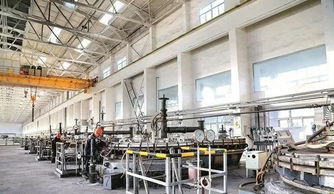 我縣一企業總經理獲國務院政府特殊津貼