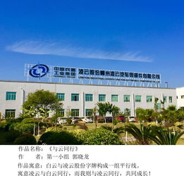 一顆紅心永向黨,建功立業(yè)新時(shí)代 凌云西南區(qū)域柳州工廠黨支部舉辦 中國夢(mèng) 凌云夢(mèng) 主題攝影活動(dòng)