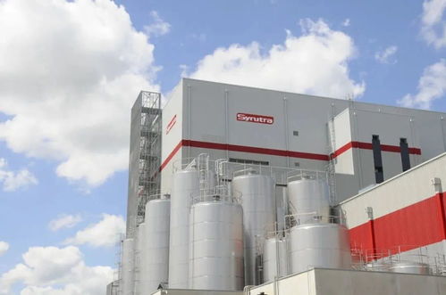 6大端口復盤乳企發展維度，助力下半年大爆發